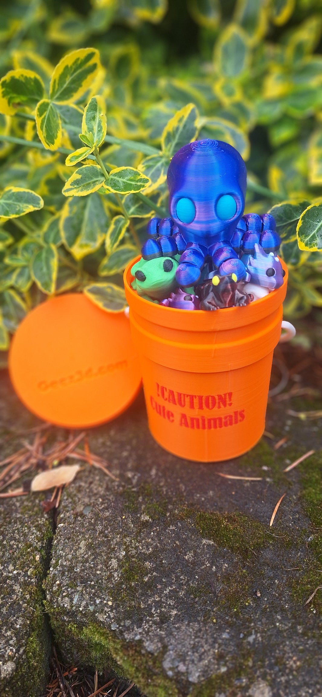 Bucket of Surprises