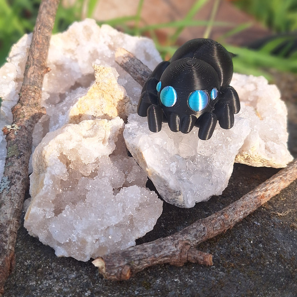 Jumping spider