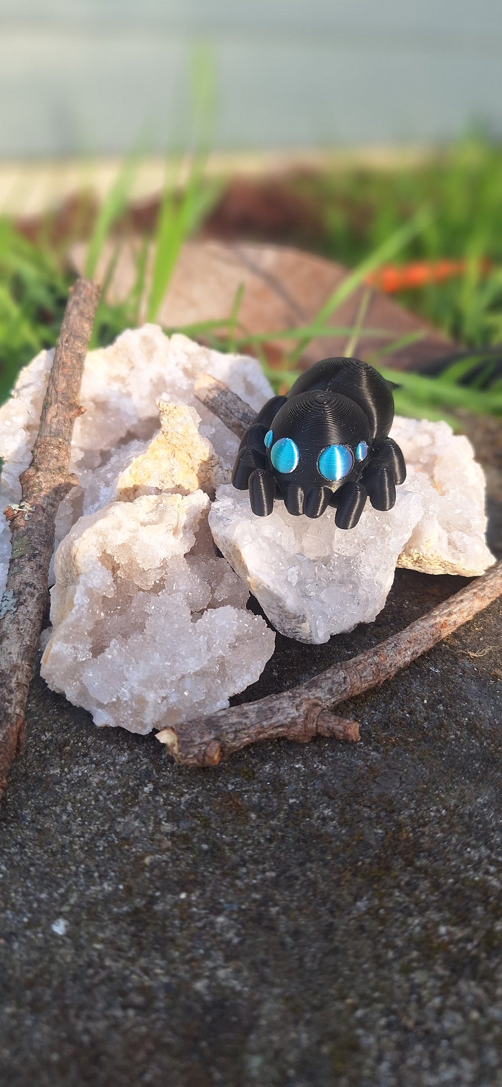 Jumping spider