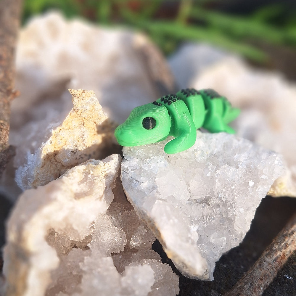 Alligator small