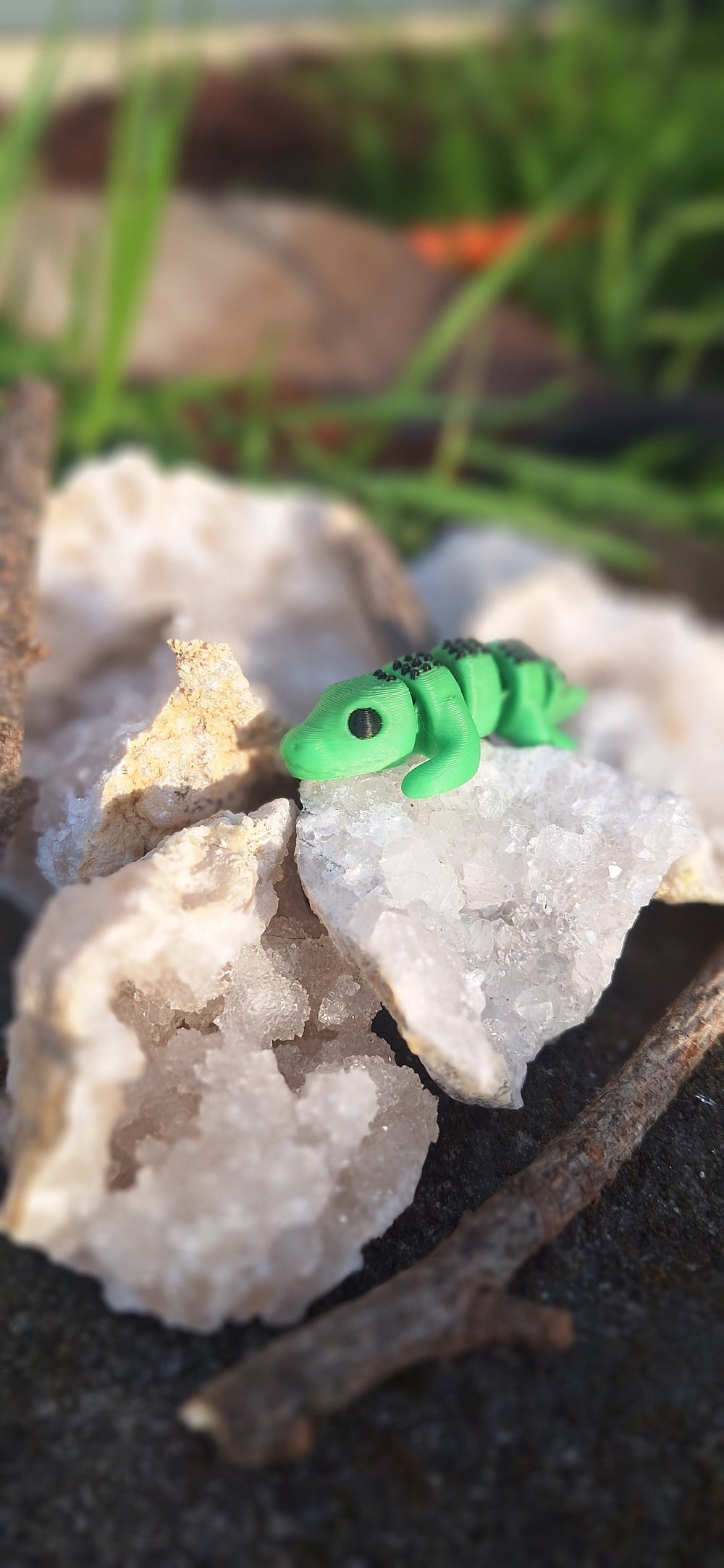 Alligator small