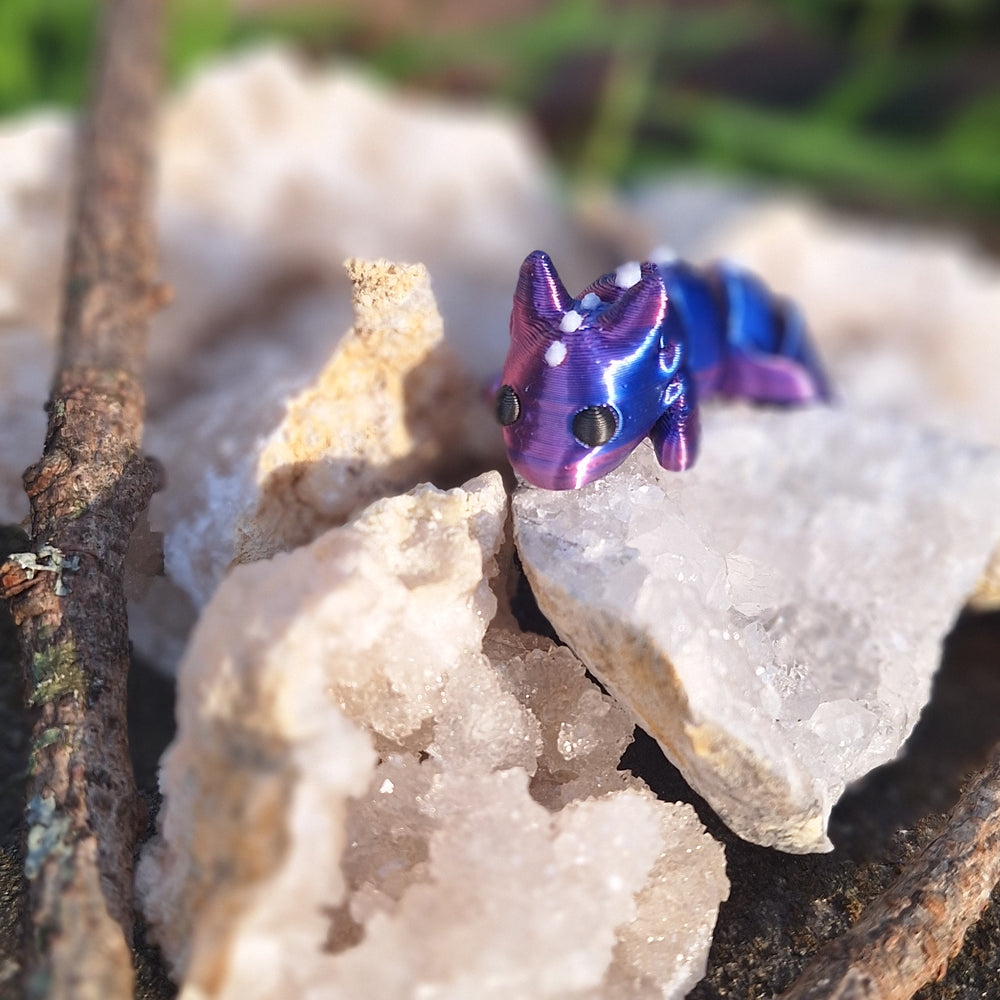 Galaxy Axilottl