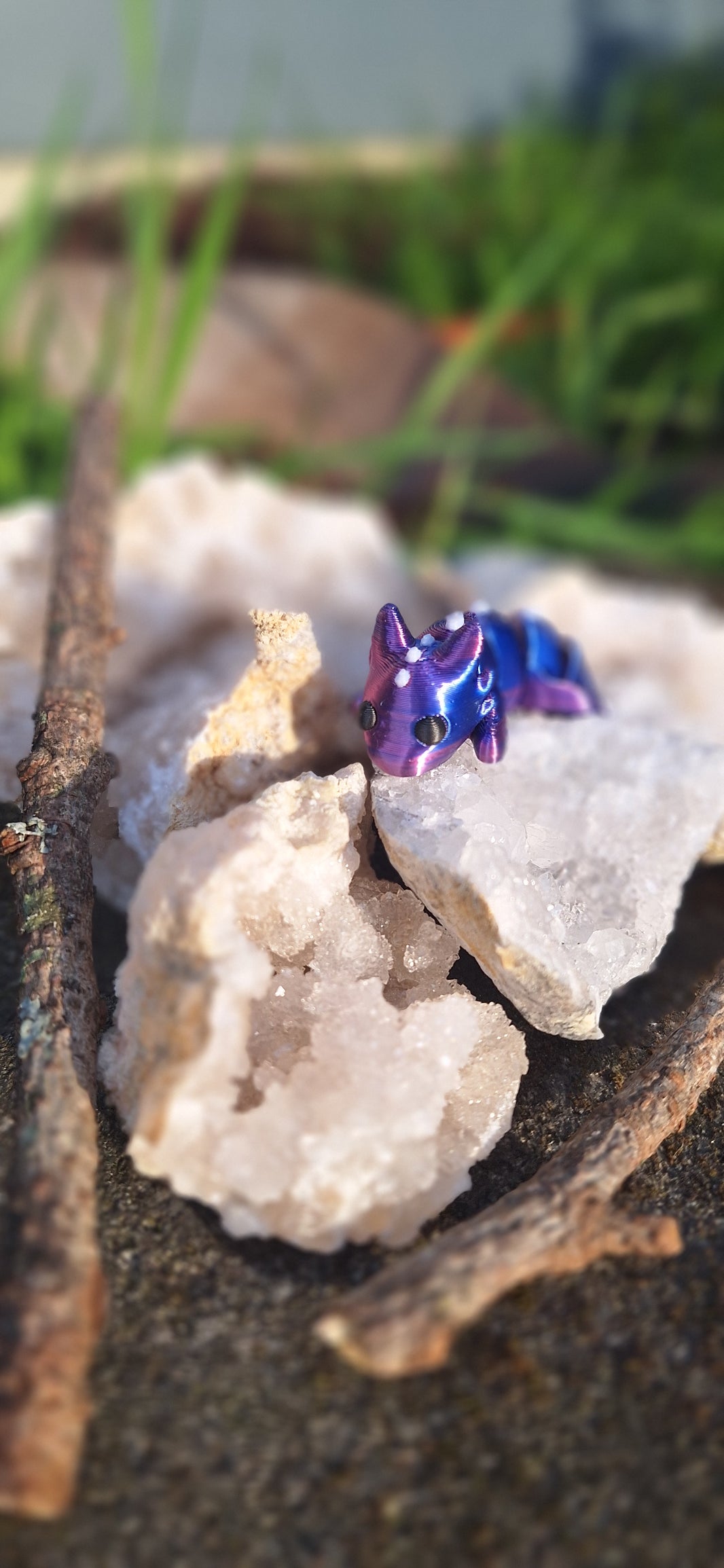 Galaxy Axilottl