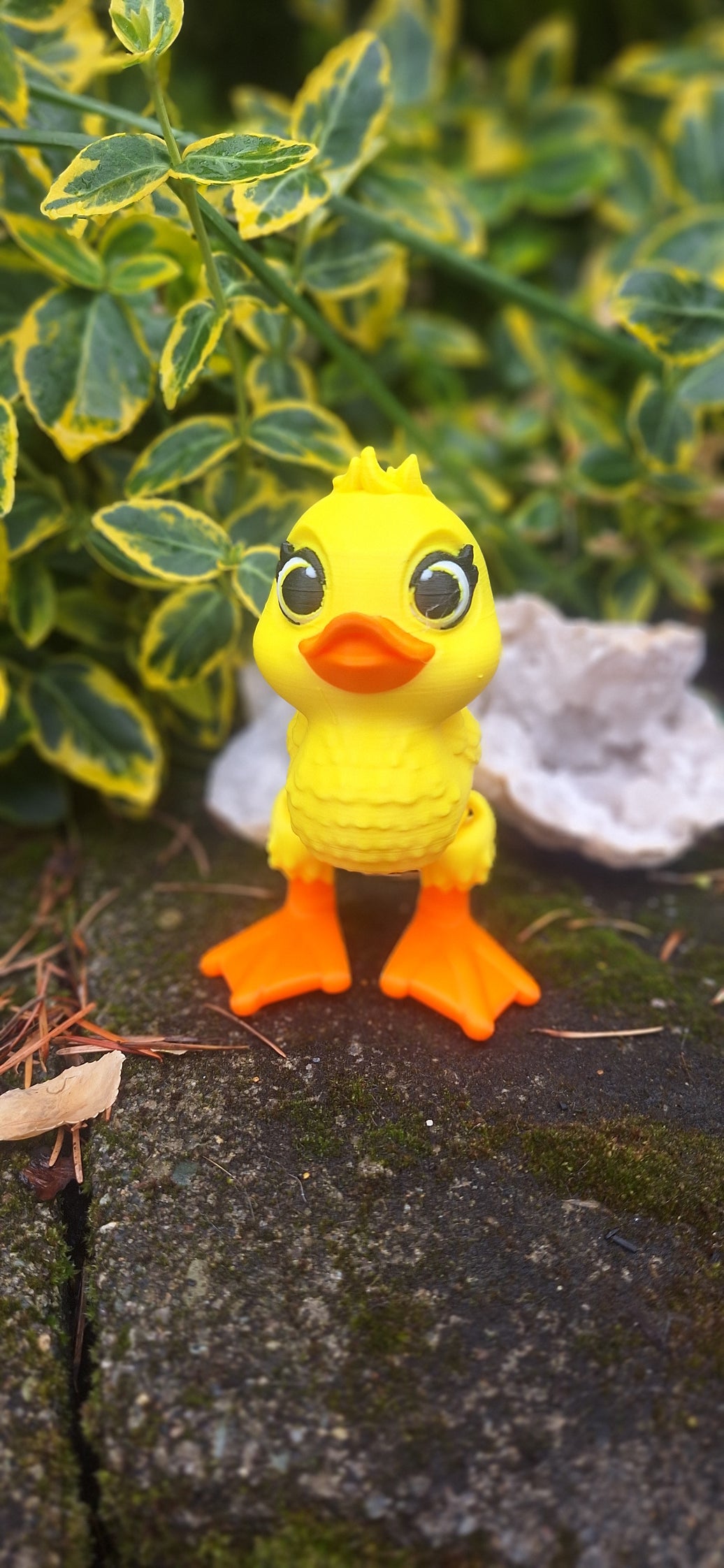 Ducky