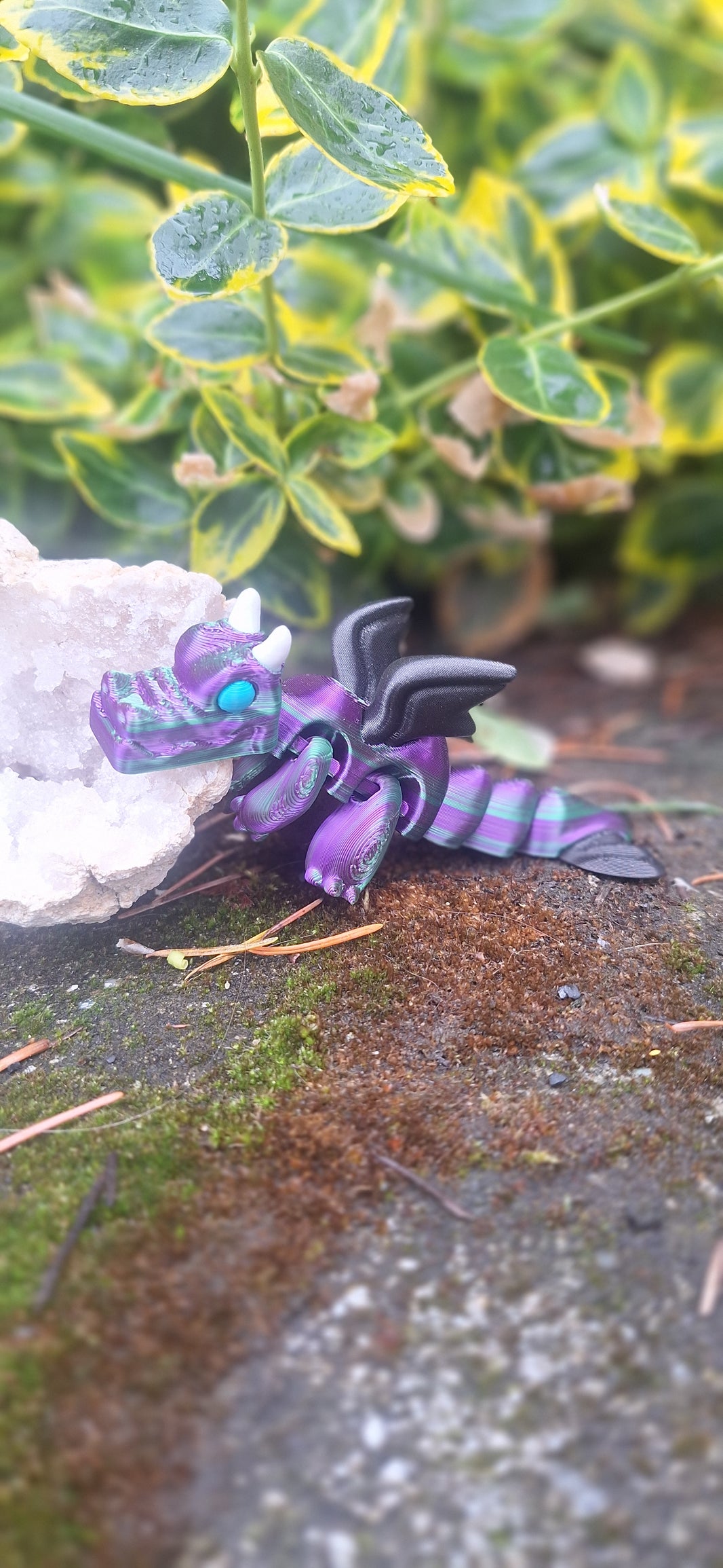 Winged dragon
