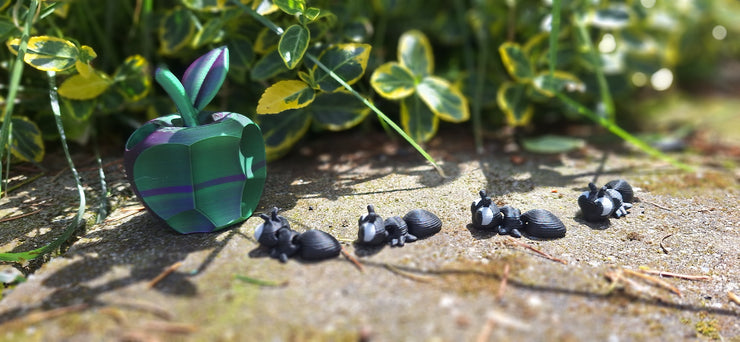Ants